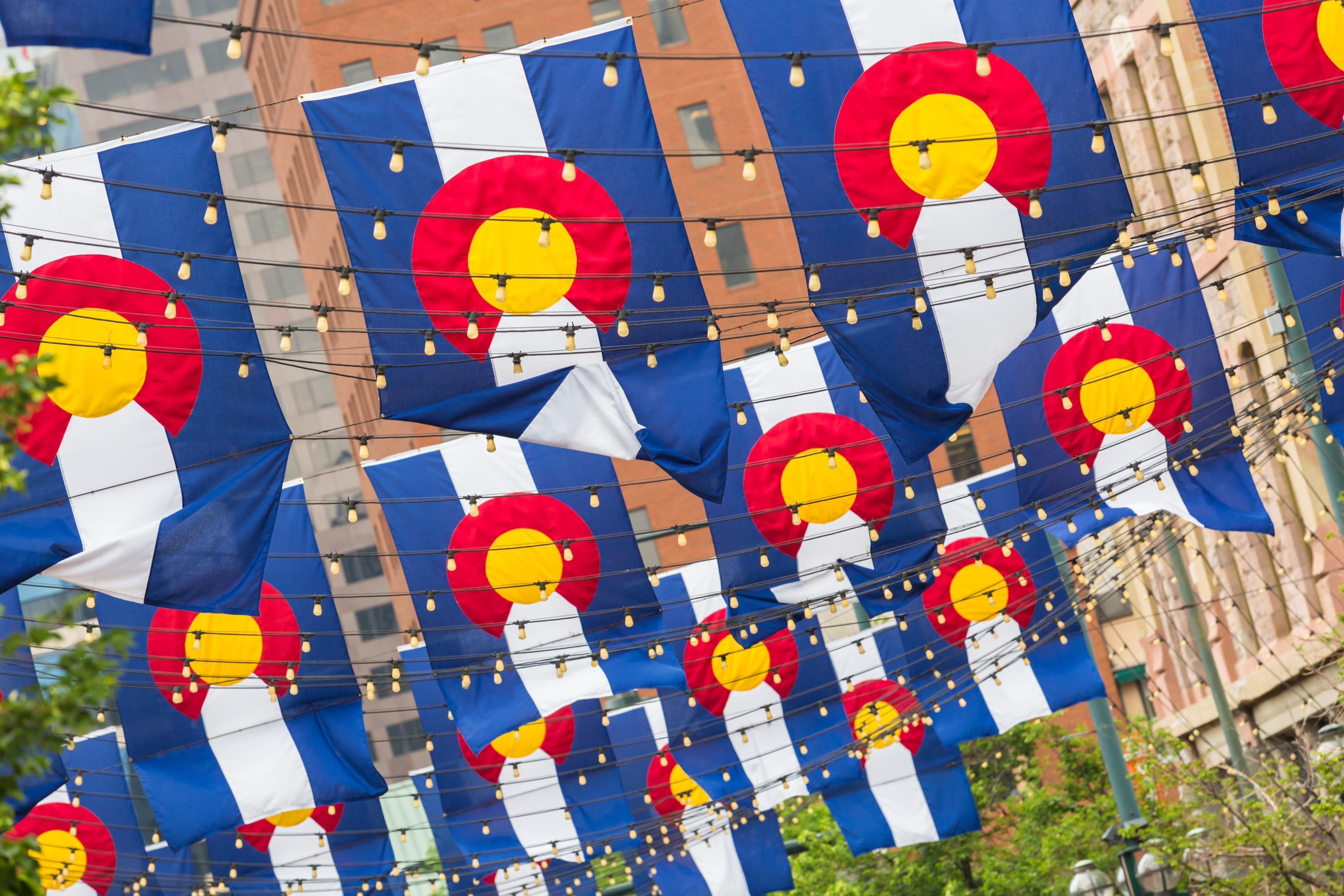 Where to Find Old Dog New Treats in Denver — 2026 Farmers Markets & Events