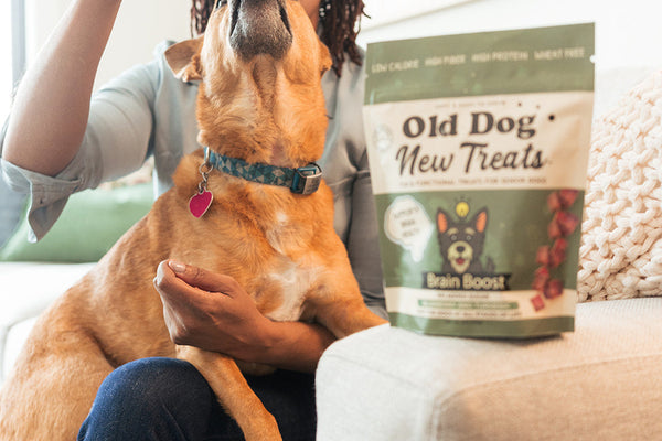 Dog Mom. Go Ahead, Say It.
