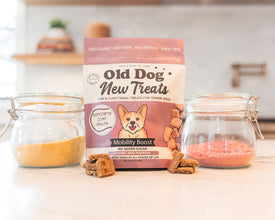 Mobility Boost functional soft treats for senior dogs by Old Dog New Treats — Marine Omegas, Turmeric, Black Pepper, Tart Cherry, Pumpkin, Rosemary