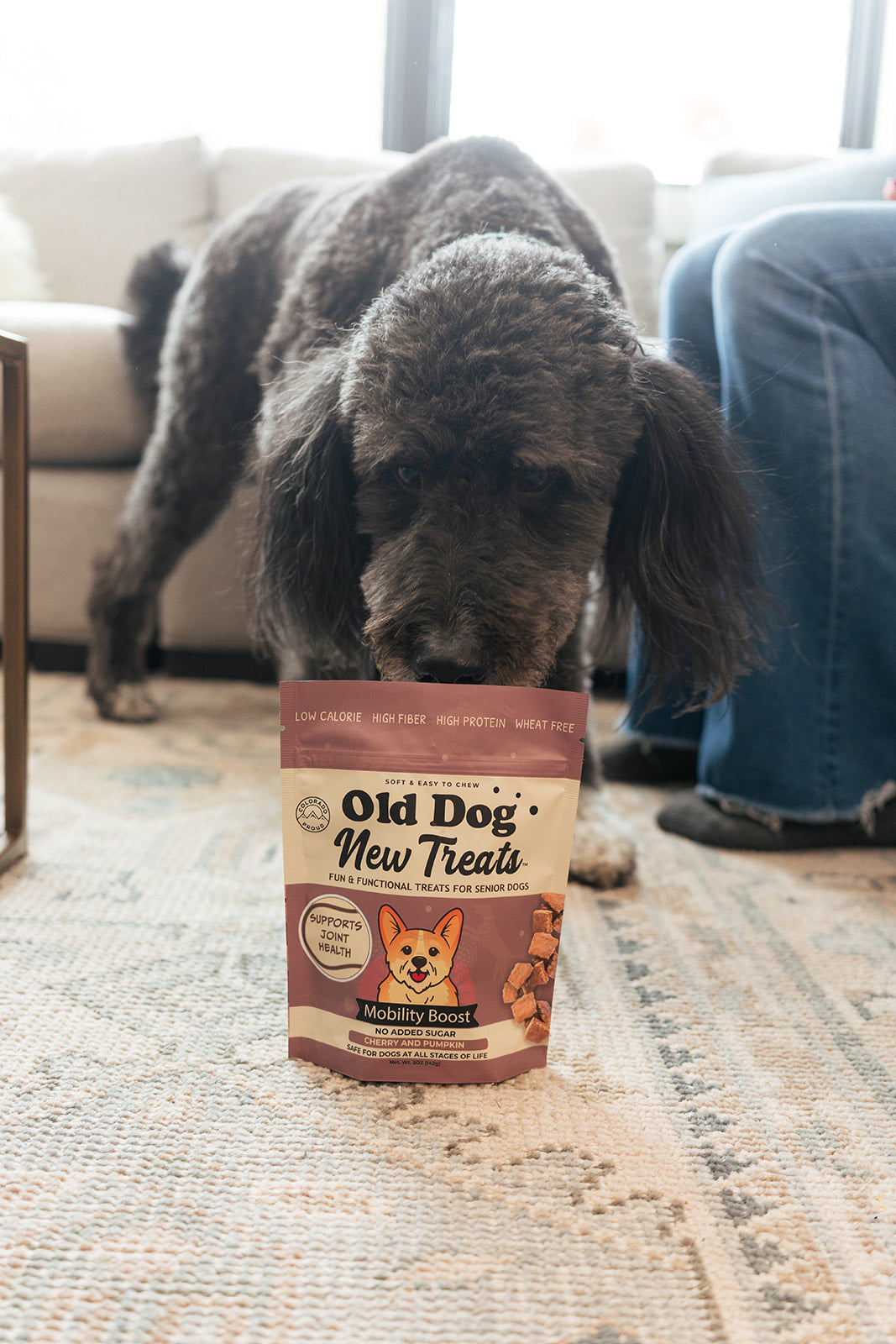 Cash sniffing Mobility Boost functional senior dog treats by Old Dog New Treats